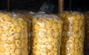 产地直销，品质无忧 古田银耳（白木耳）的农副产品魅力