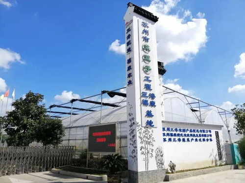 纾难解困，精准服务 赋能农副产品企业高质量发展