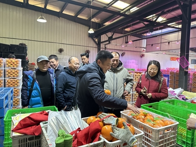 奉节脐橙产业协会赴沈阳地利批发市场考察调研