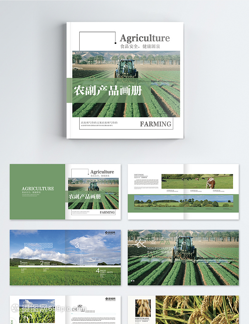 绿色农副产品 自然与健康的完美融合