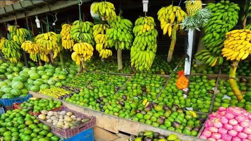 韩国农副产品的价格现状